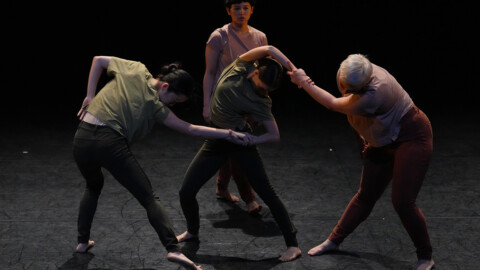 Photo by Steven Pisano