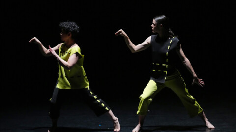 Photo by Steven Pisano