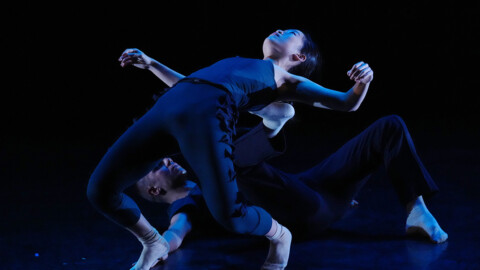 Photo by Steven Pisano