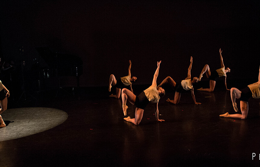 Photo by Rachel Neville