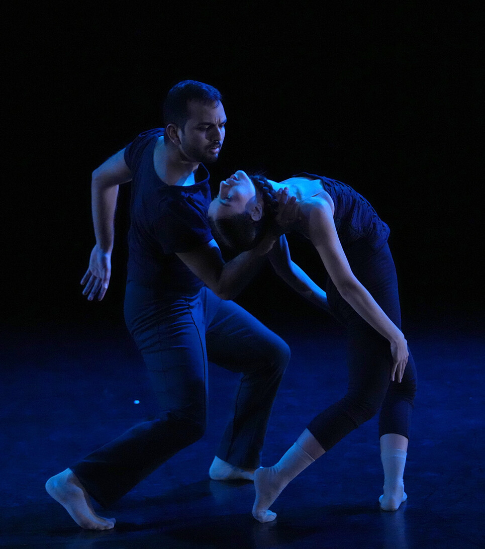 Photo by Steven Pisano