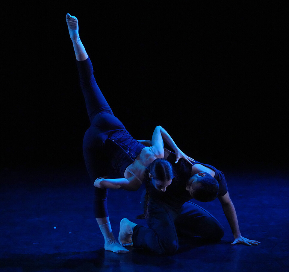 Photo by Steven Pisano