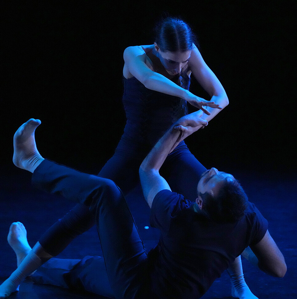 Photo by Steven Pisano