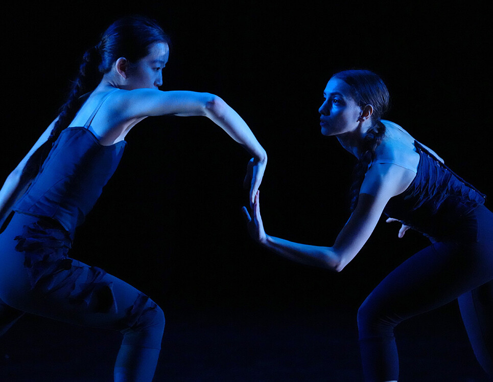 Photo by Steven Pisano