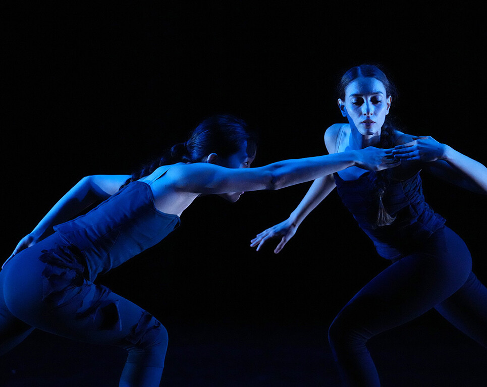 Photo by Steven Pisano