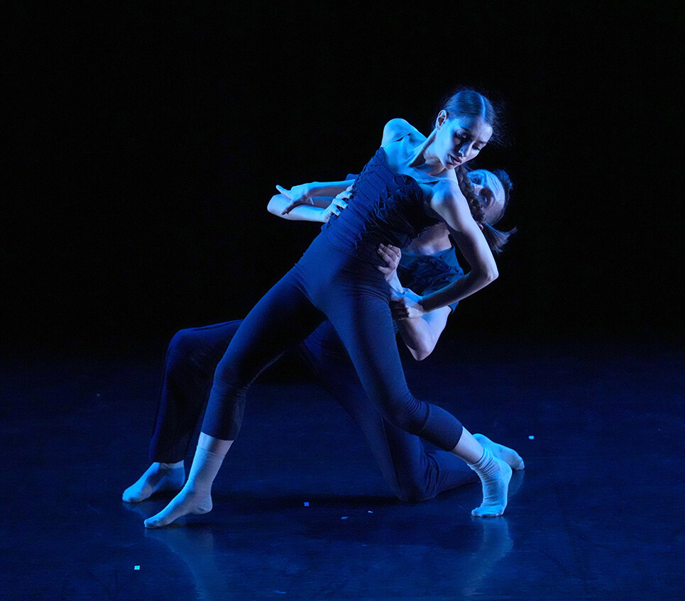 Photo by Steven Pisano